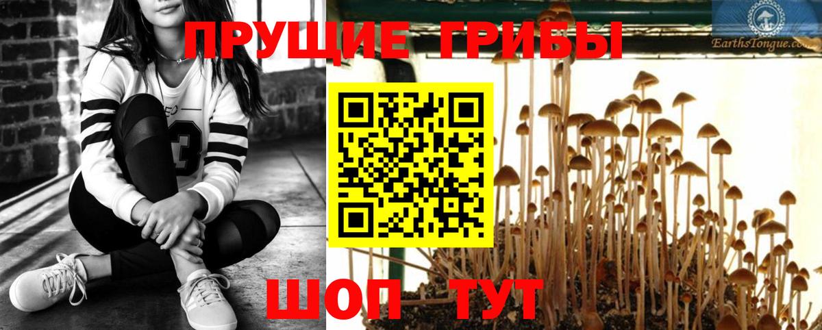 Острогожск  Псилоцибиновые грибы Magic Shrooms  Вход с VPN 
