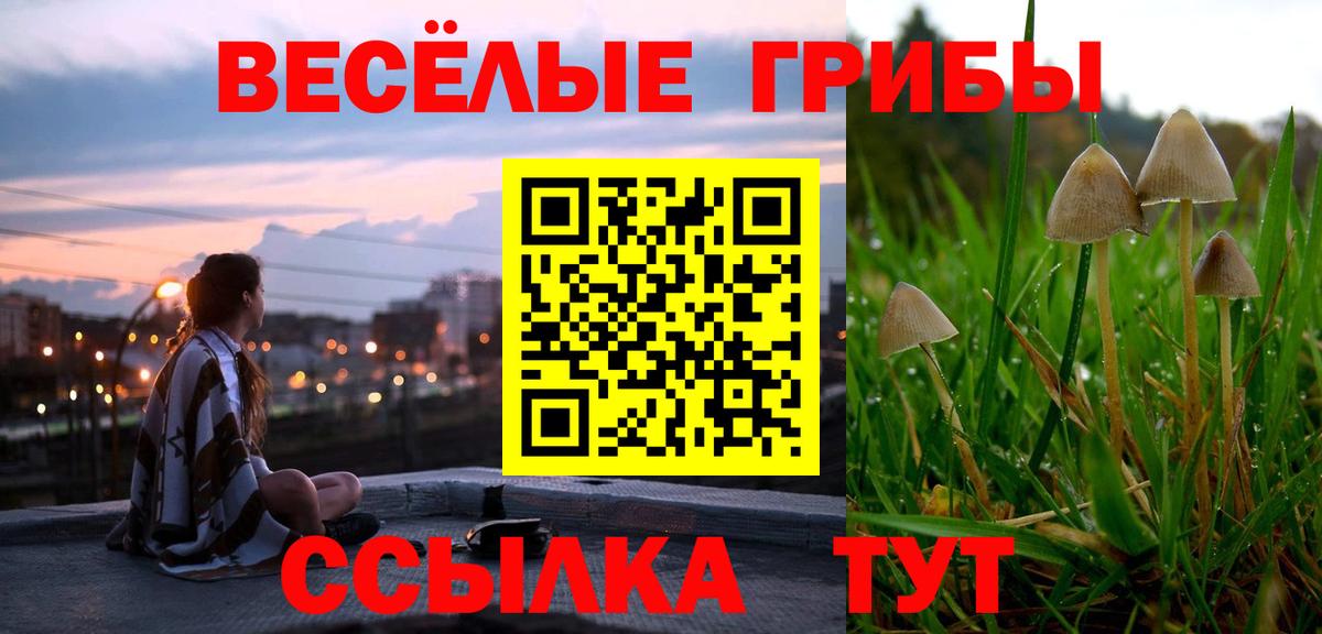 Псилоцибиновые грибы MAGIC MUSHROOMS Острогожск